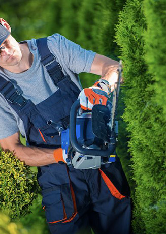 綠化養(yǎng)護(hù)